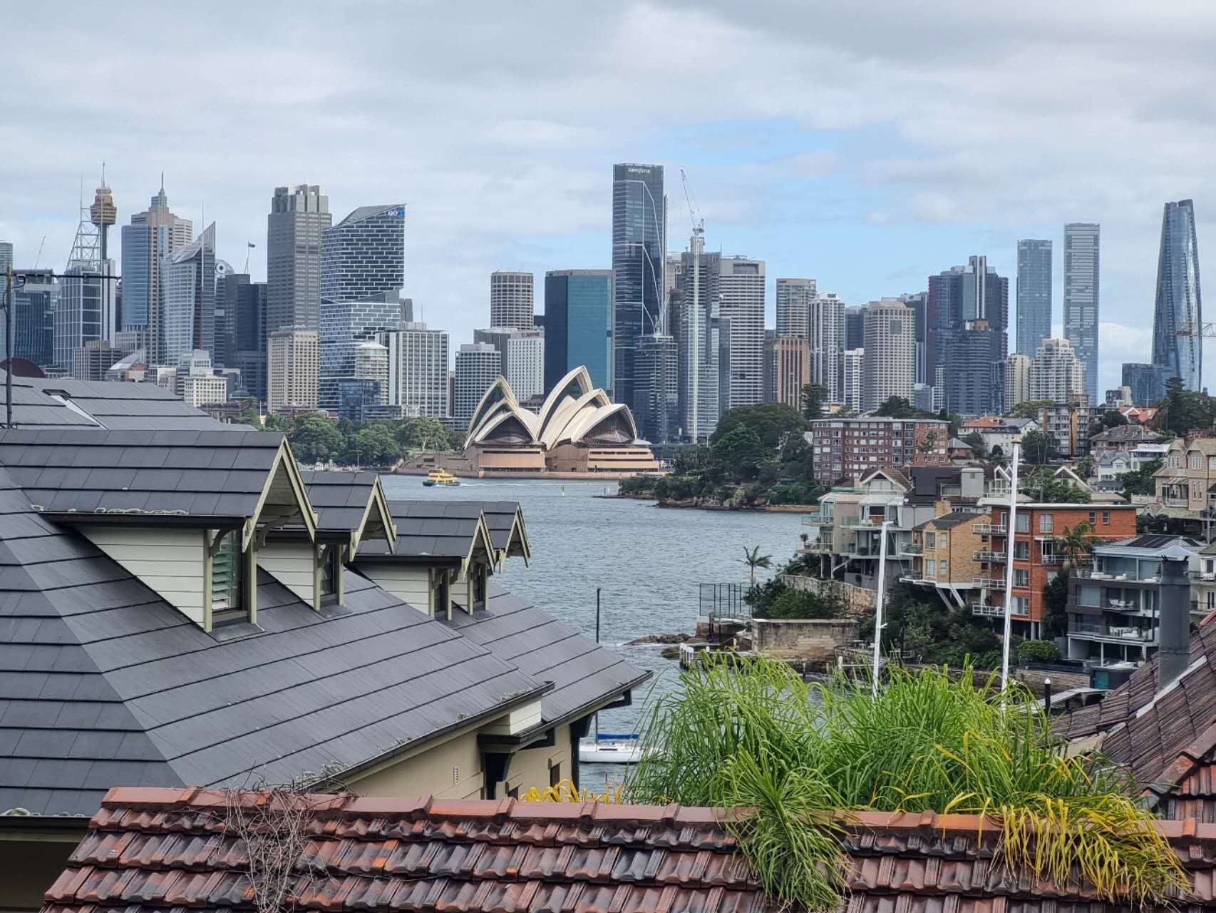 city skyline from Mosman Sydney
