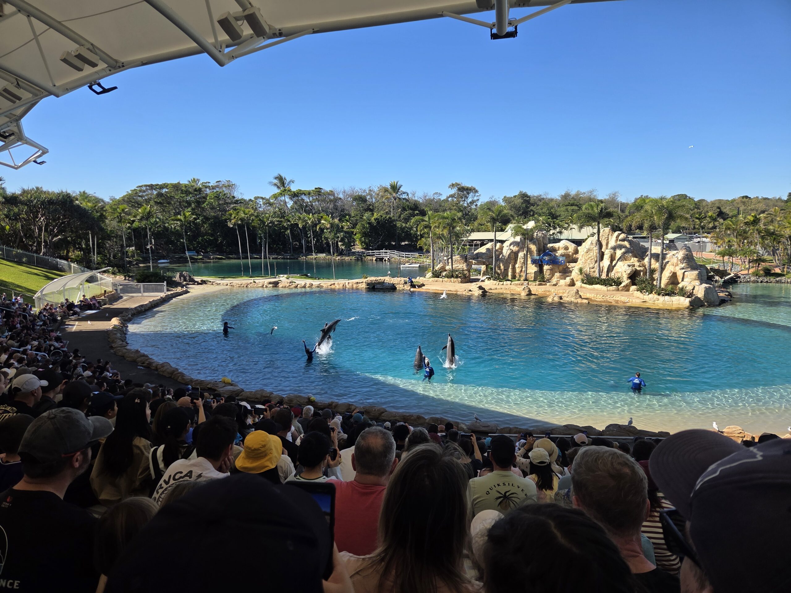gold coast sea world